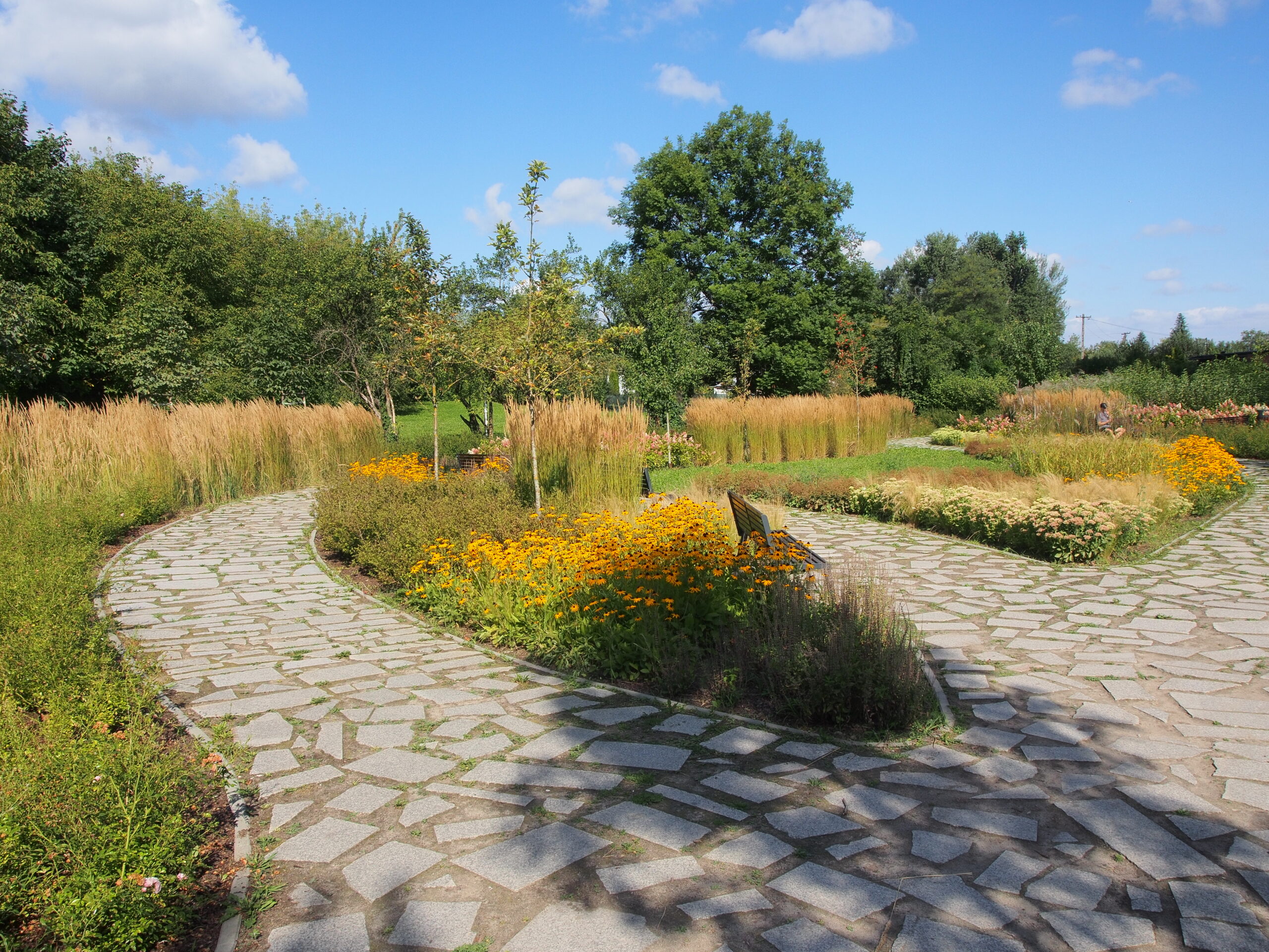 Park kieszonkowy Ogród nad stawem. Fot.: Michał Pierewicz