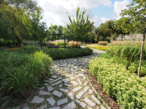 Park kieszonkowy Ogród nad stawem. Fot.: Michał Pierewicz
