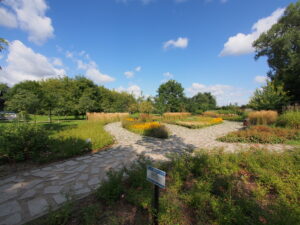 Park kieszonkowy Ogród nad stawem. Fot.: Michał Pierewicz