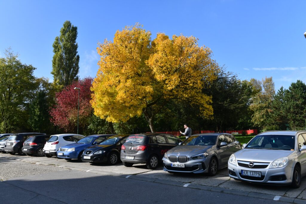 Kampus Warszawska parking Fot.: Jan Zych