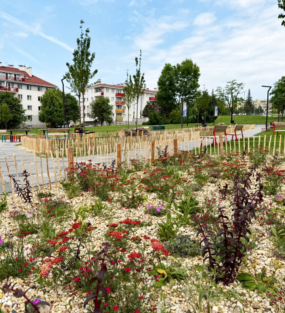 Bioroznorodna rabata Fot Albert Rejman - Nasza Politechnika Bioróżnorodna rabata z rodzimych gatunków roślin na Osiedlu Studenckim PK Fot.: Albert Rejman